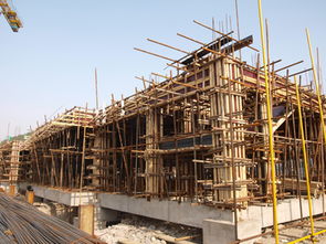 新校建設(shè)施工現(xiàn)場(chǎng)系列報(bào)道之一 基礎(chǔ)施工篇